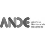 ande logo